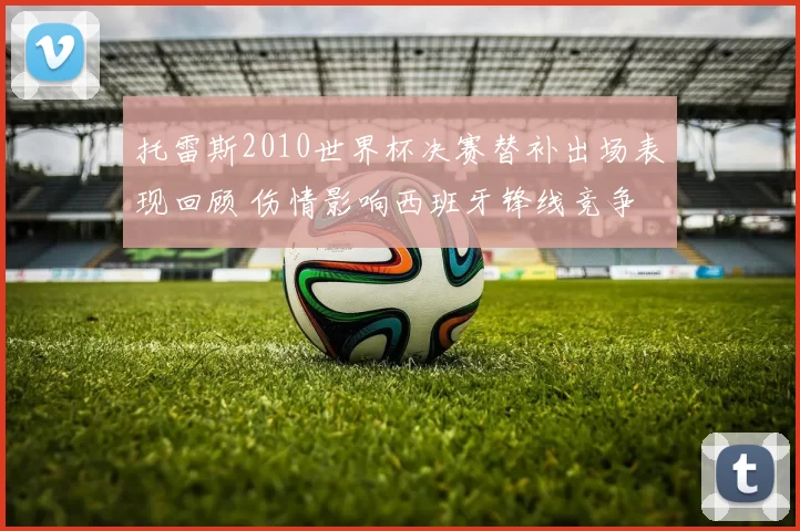 托雷斯2010世界杯决赛替补出场表现回顾 伤情影响西班牙锋线竞争
