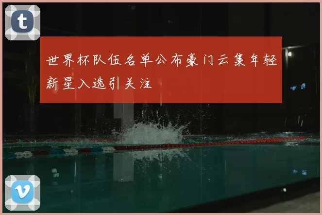 世界杯队伍名单公布豪门云集年轻新星入选引关注