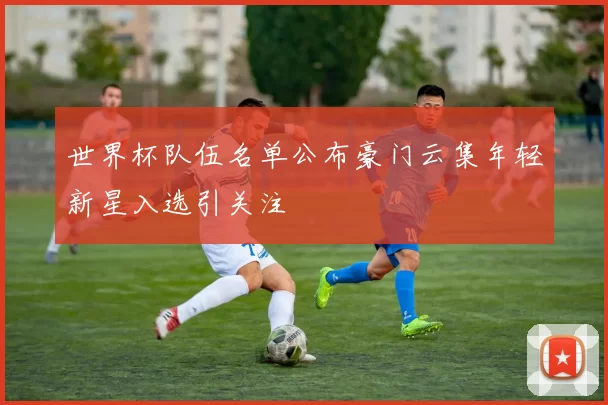 世界杯队伍名单公布豪门云集年轻新星入选引关注