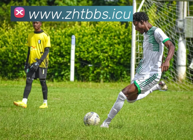 奇异果体育 - 官方网站平台生态图